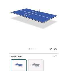Ping Pong Table