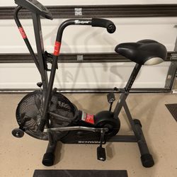 Schwinn Airdyne 