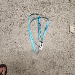 6ft Dog Leash