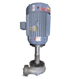 Gushers Pump Model 11032NS-B