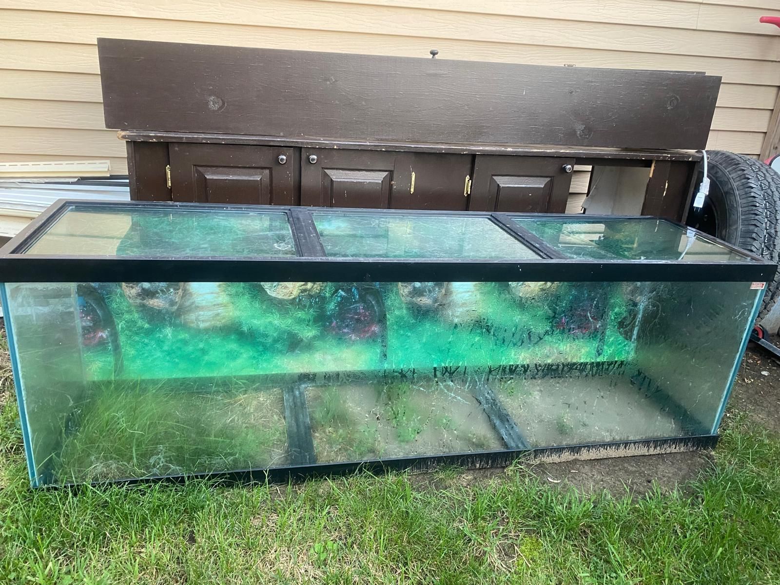 Fish Tank