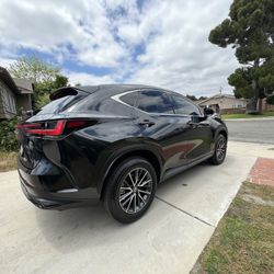 Window Film Automotive Tint