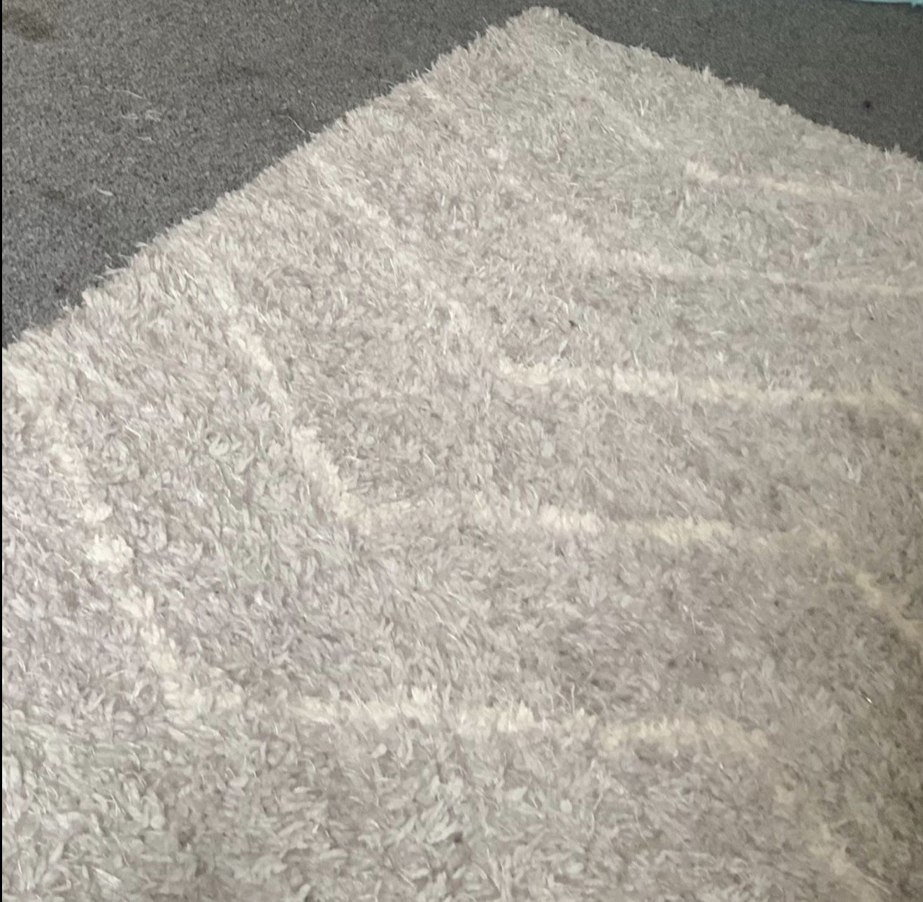 Contemporary area rug