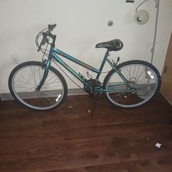 Slightly Used Adult Bicycle