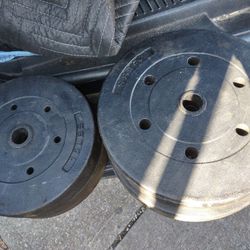 80lbs Standard 1" Hole Weights 