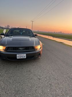 2010 Ford Mustang
