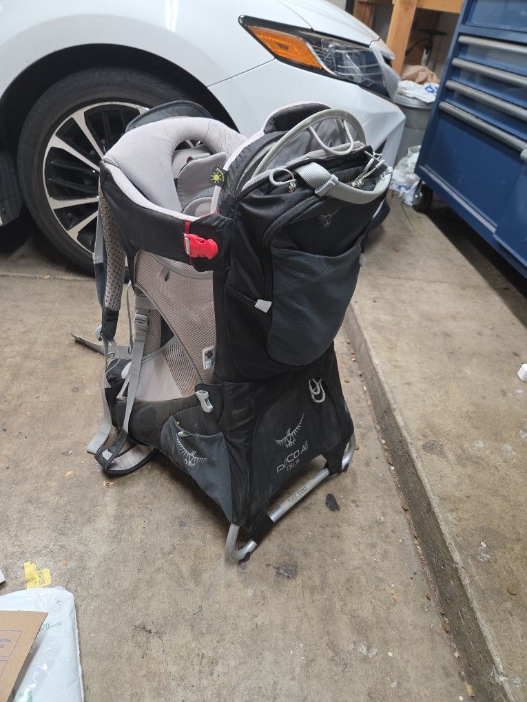 Infant/child Carrier For Hiking 