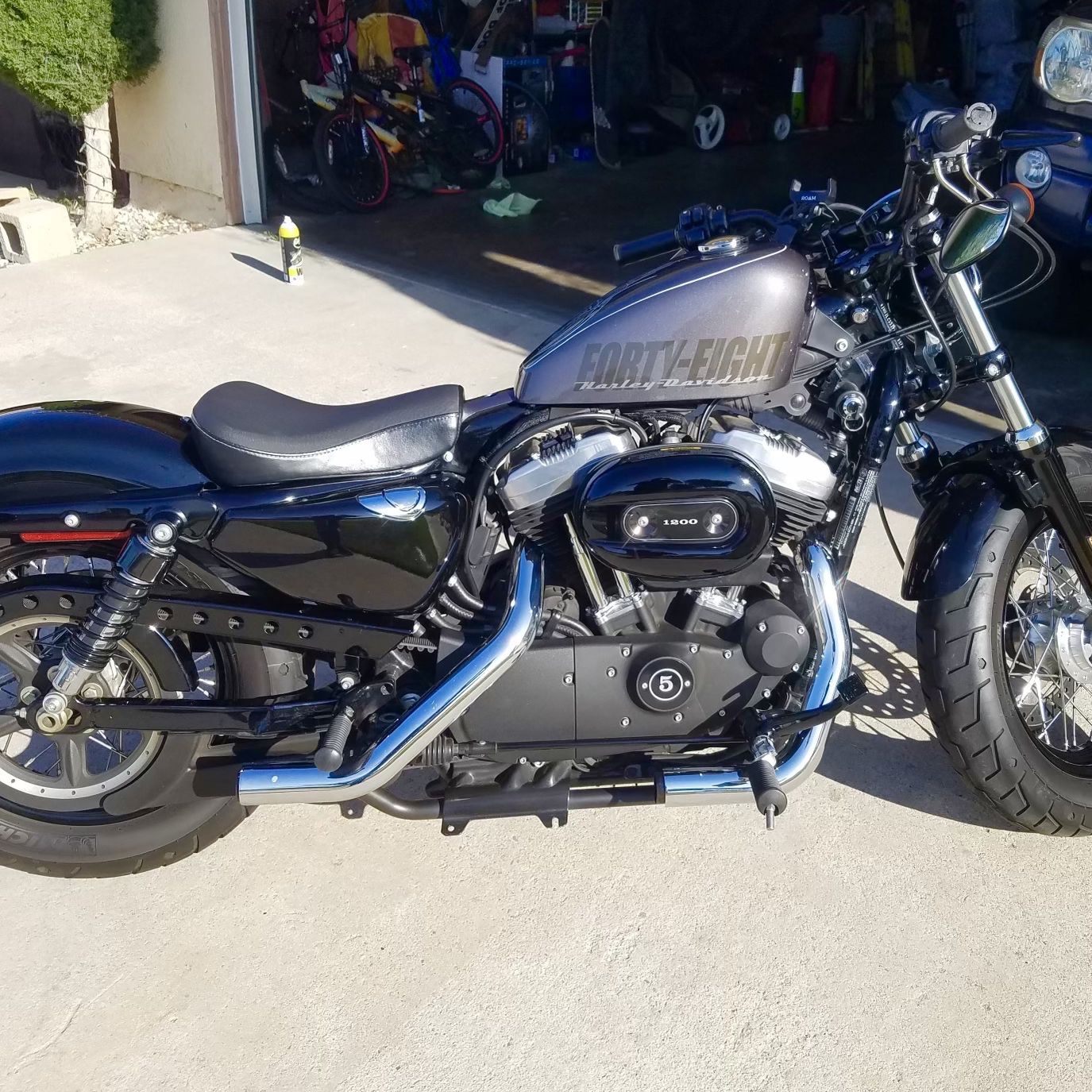 2015 Harley Davidson XL 1200 48