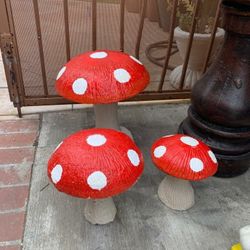 For sale mushrooms