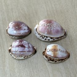 Vintage Carved Tiger Cowrie Shell Souvenirs – 1930s