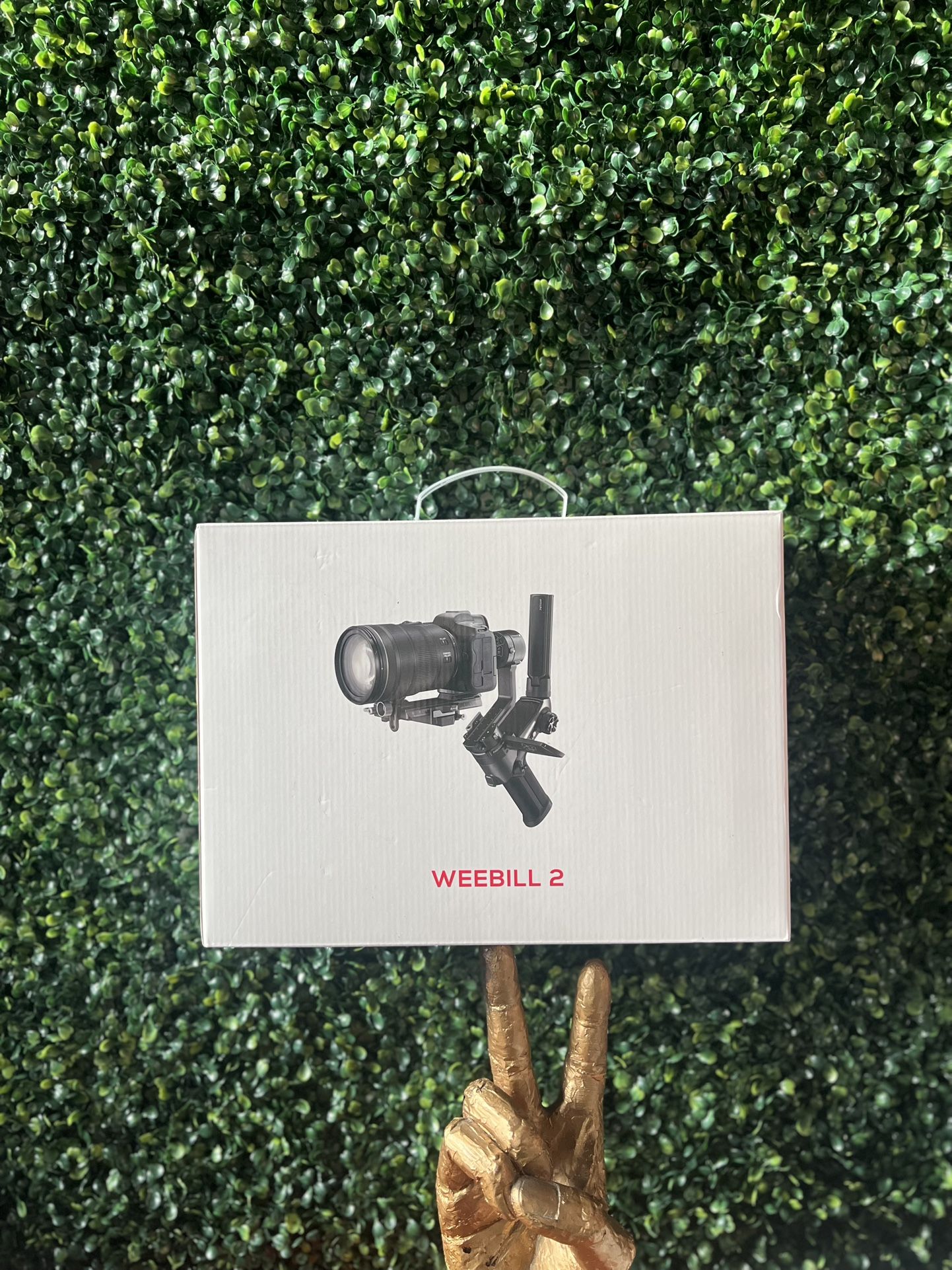 Weebill 2 New