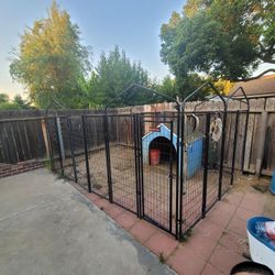 Lucky Dog Kennel