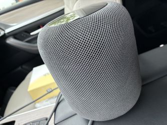 Home Pod And Air Max $320 Both