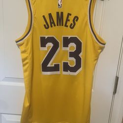 Lebron Lakers Jersey