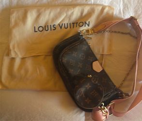 Louis Vuitton multi bag