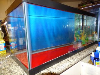 20 gallons fish tank, filter