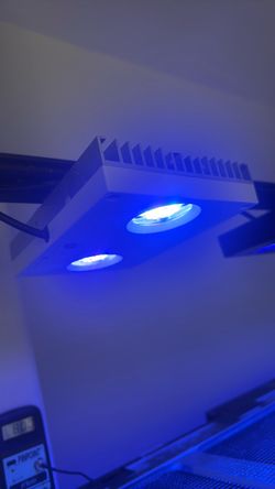 Aqua Illumination Hydra32Hd led lights