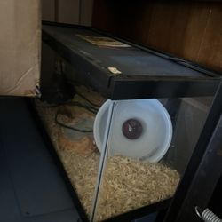 Snake Tank-30 Gallon 