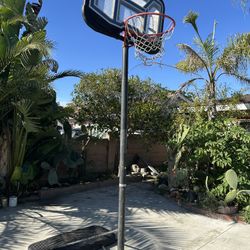Basketball Hoop