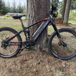 Electric mountain bike