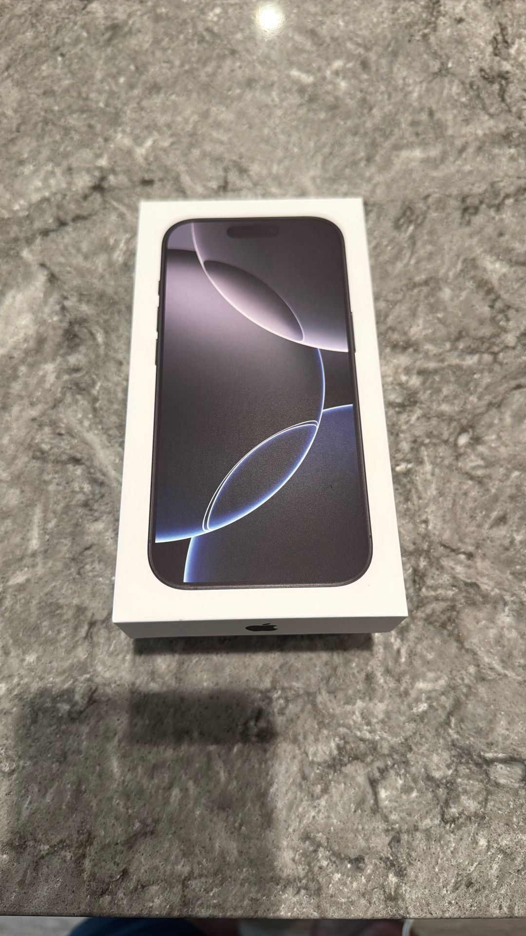 16 Pro With 256 GB