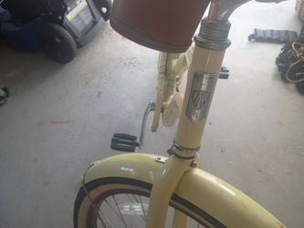 Vintage truck bike all original