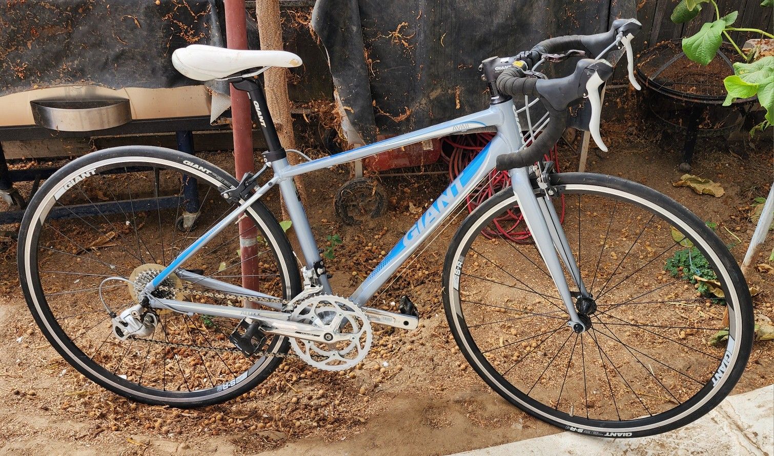 Giant Avail 5 Racing Bike!