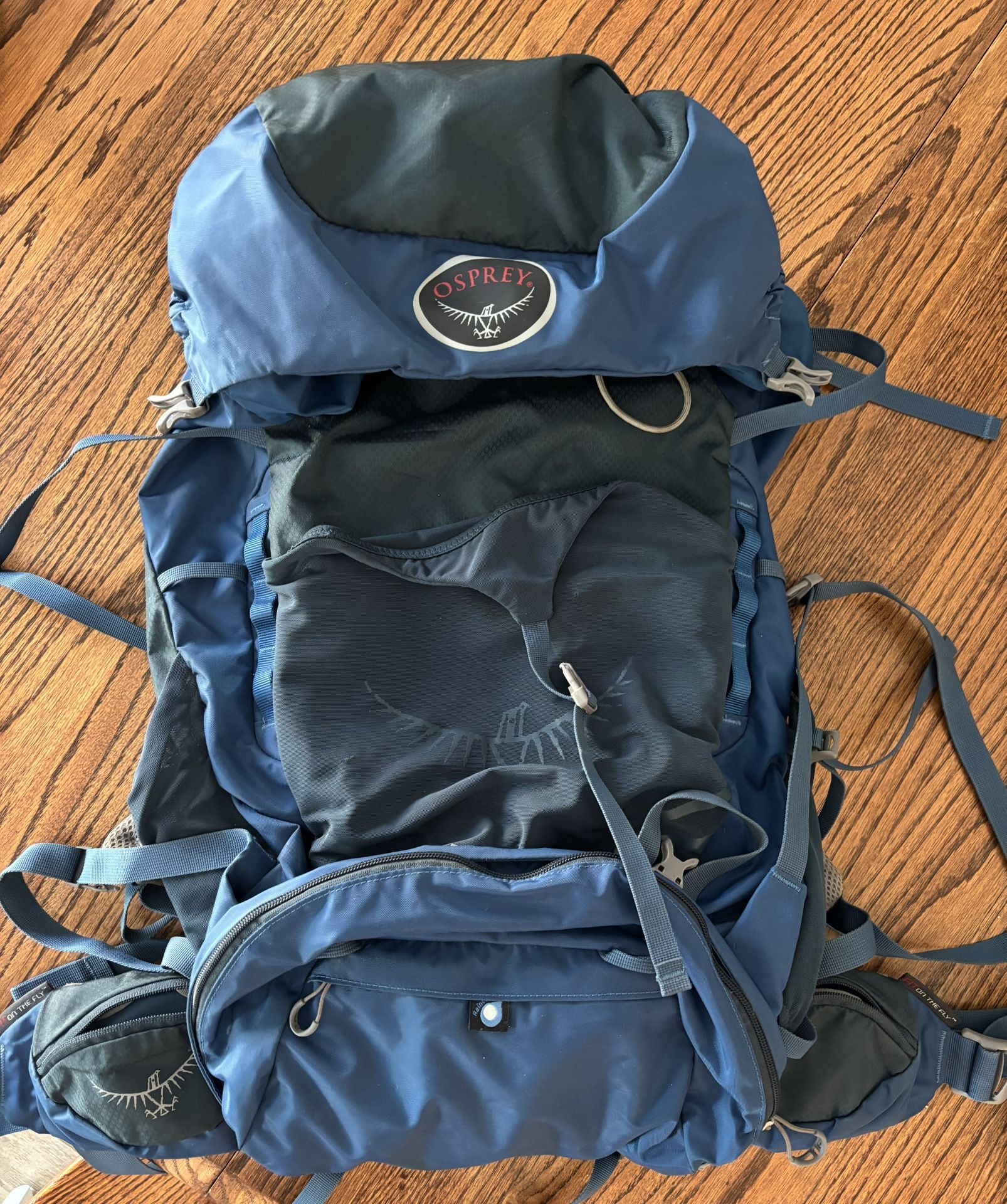 Osprey Ace 50 Backpack