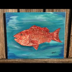 16x20 Acrylic Red Snapper Original Artwork On Canvas