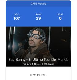 Bad Bunny Concert