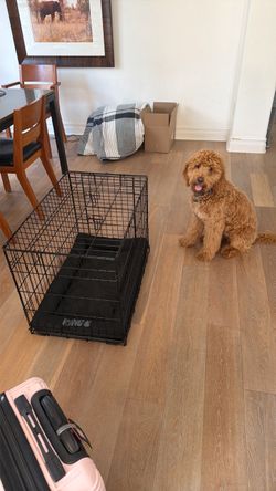 Medium Size Dog Crate w/Accessories