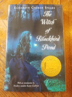 The Witch of Blackbird Pond