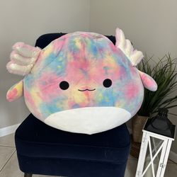 24in Tinley the axolotl