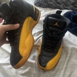 Jordan 12