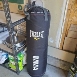Punching Bag