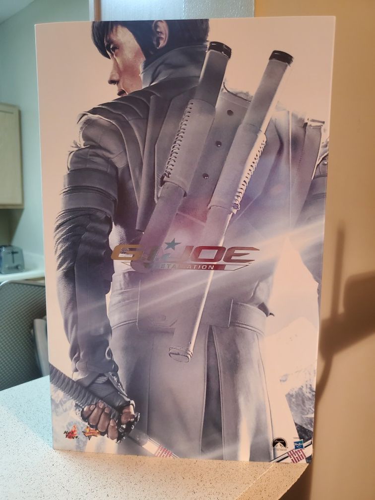 Storm Shadow by Hot Toys