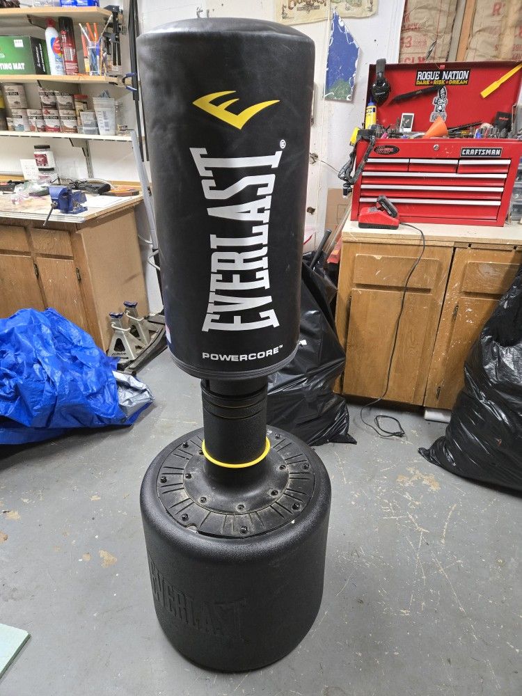Everlast Punching Bag And Sparing Gloves