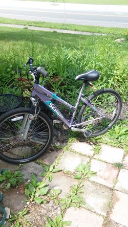 Women's schwinn high plains mountain bike new arrivals