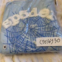 Baby Blue Spider Hoodie
