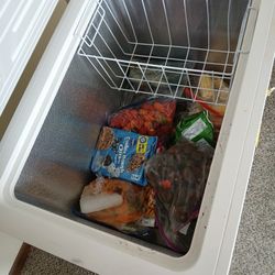 Large Chest Freezer 