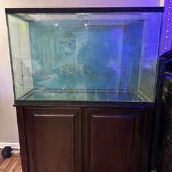 150 Gallon Aquarium With Stand And Accessories 