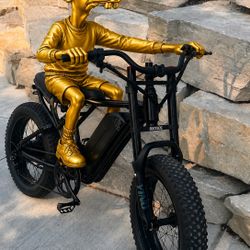 Ridstar Q20 (neegy not included 😢)
