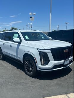 Cadillacs.
