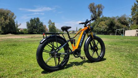 Dual Motor Electric Bike 2000w