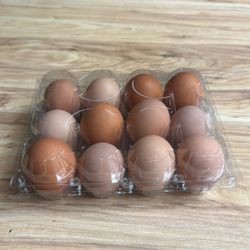 Kid Selling Eggs $4/dz