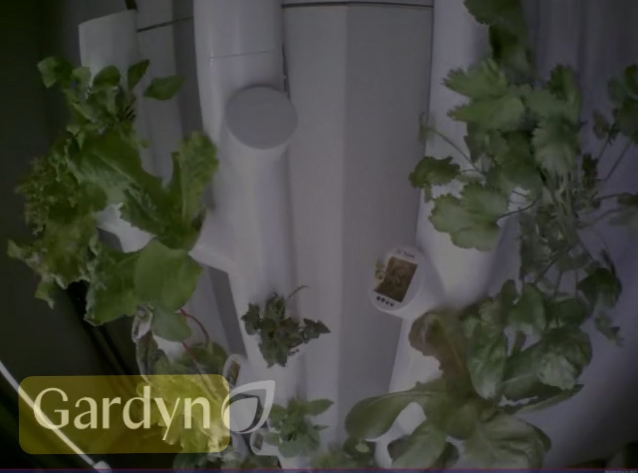 Gardyn Hydroponics