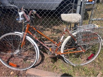 Vintage Schwinn Suburban Bicycle