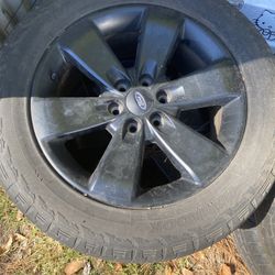 Tires and rock lights 