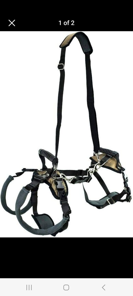 Support Harness For Dog