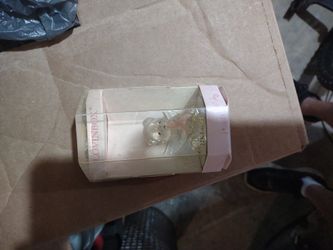 Lovinbox Bear Glass Display